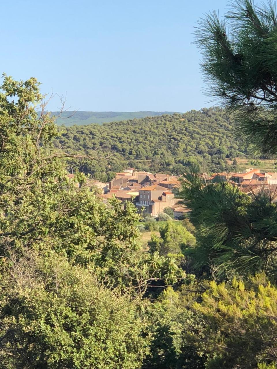 B&B Domaine Du Griffon Boutenac Buitenkant foto